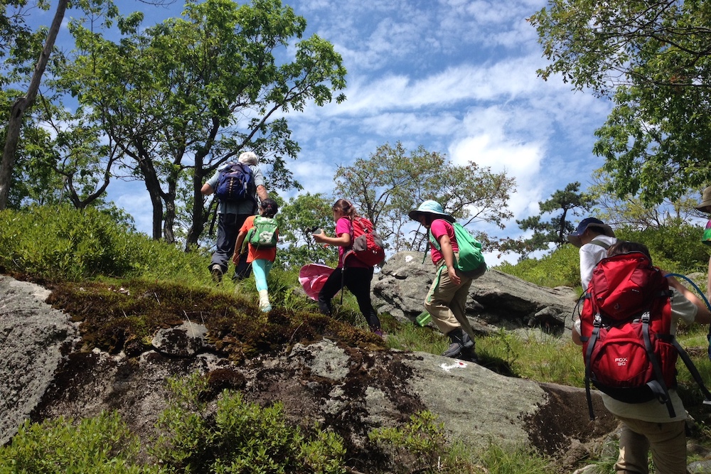 The Nature Place Day Camp