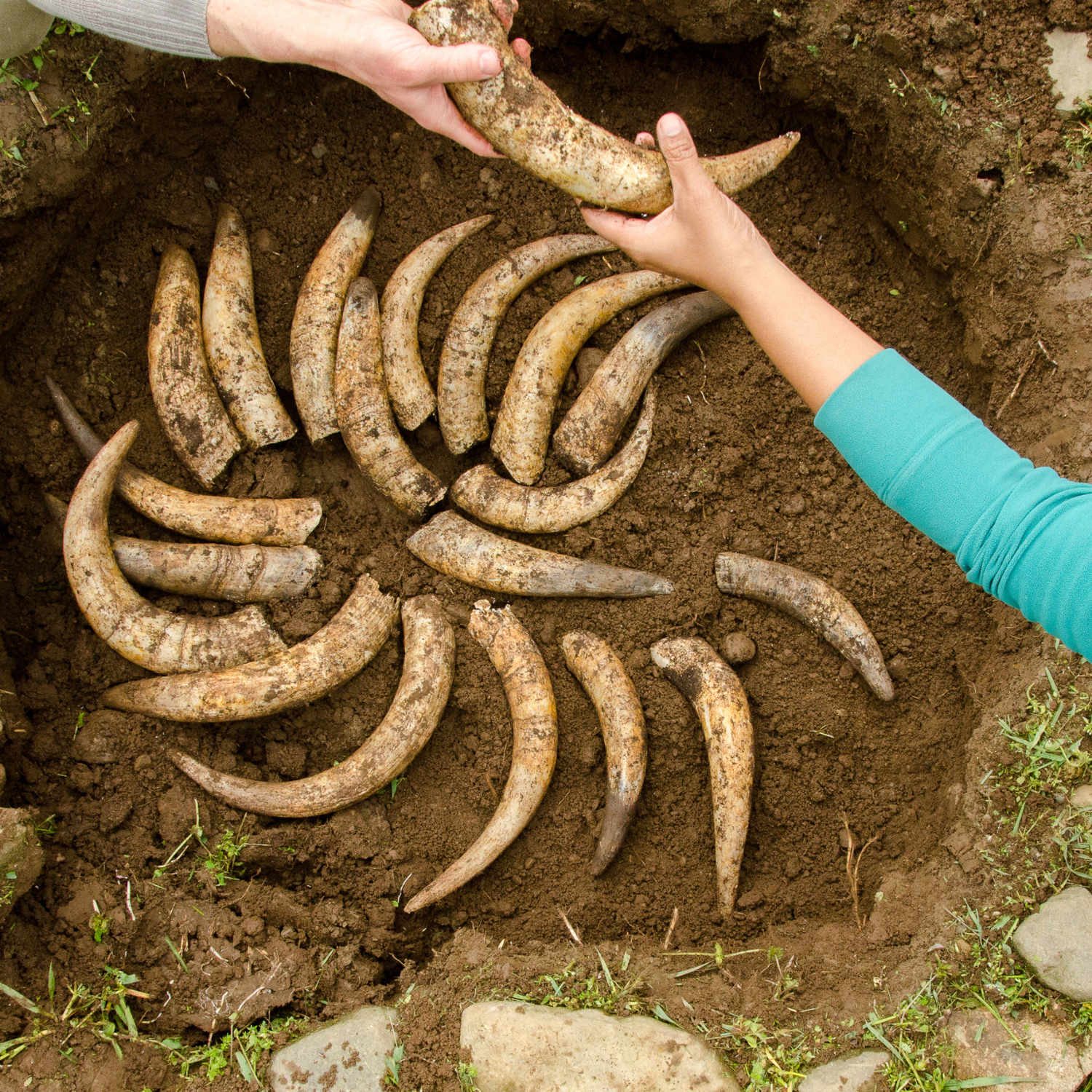 Pfeiffer Center Biodynamic Course