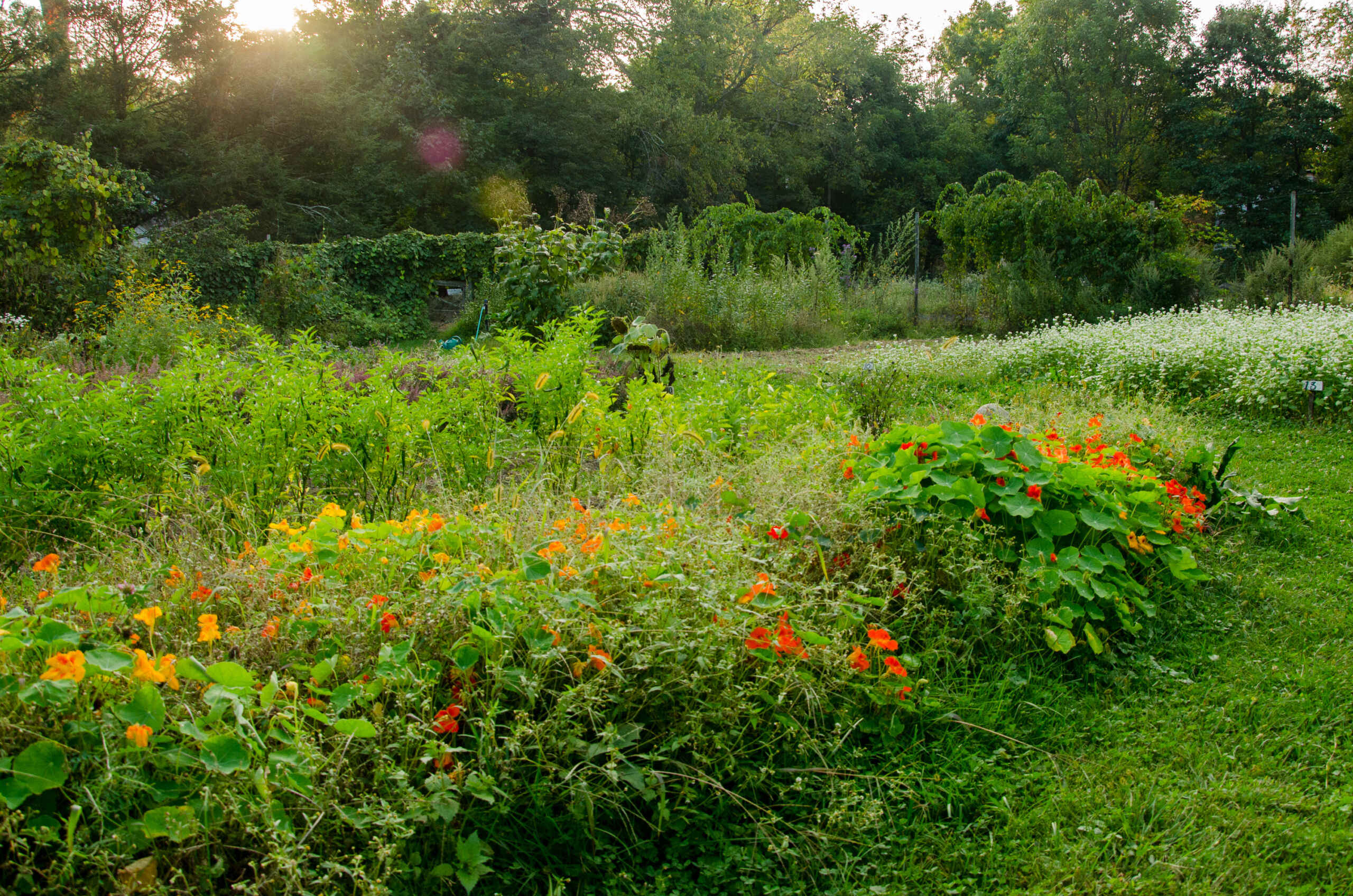 The Threefold Pfeiffer Center Garden