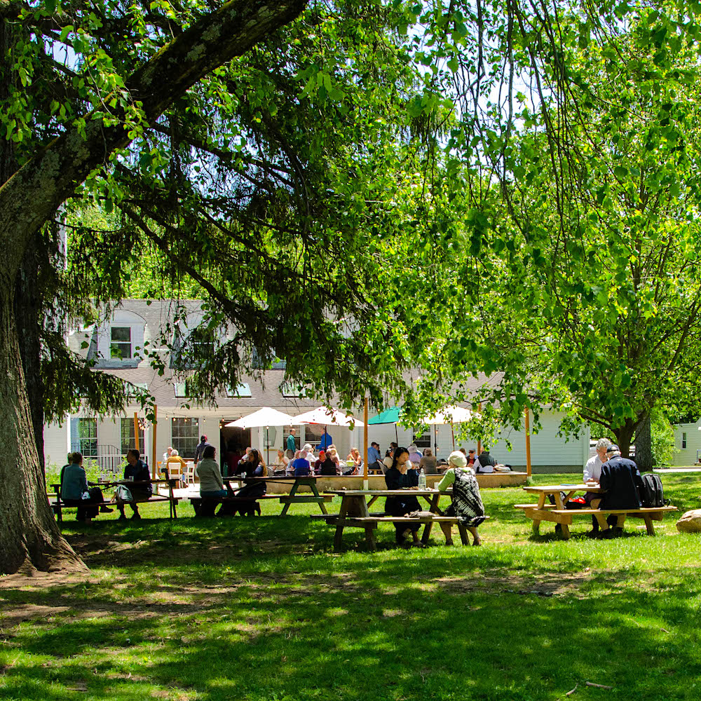 Threefold Café Deck & Backyard